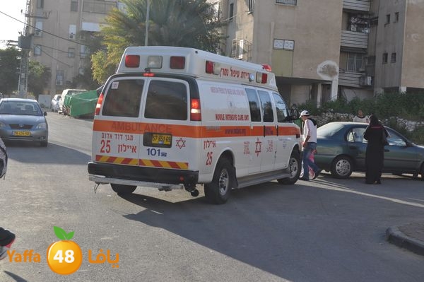 snakeluds310 (11).JPG